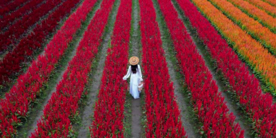 Excursão: Rota das Flores e Areia (PB)